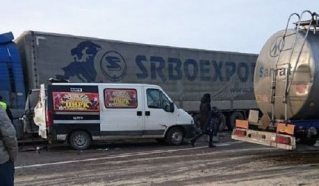 На Львовщине в ДТП попал фургон с цирковыми лошадьми. Одна погибла