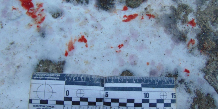 Убийство в Вознесенском  районе – озверевший сосед так отблагодарил за гостеприимство