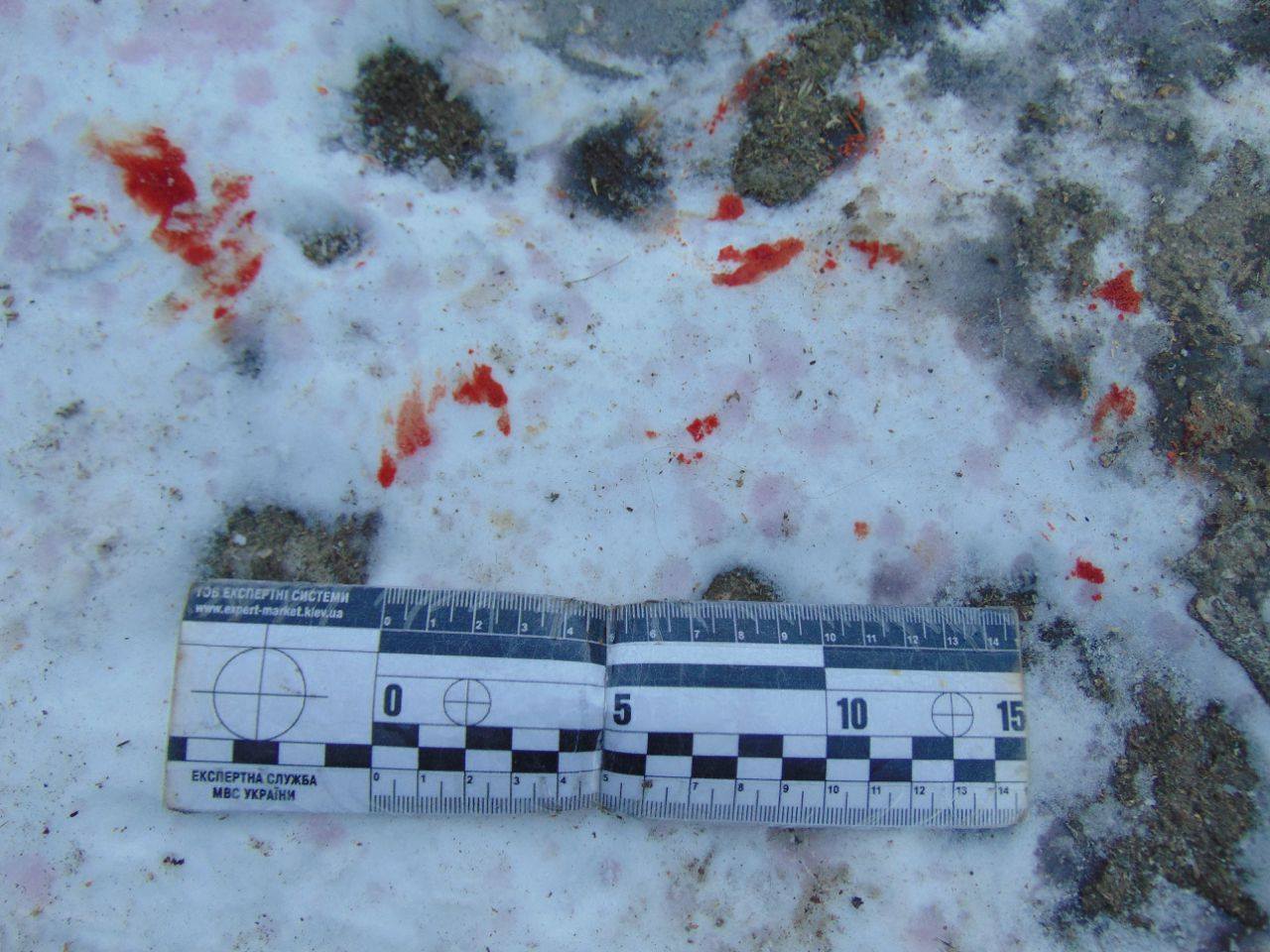 Убийство в Вознесенском  районе – озверевший сосед так отблагодарил за гостеприимство