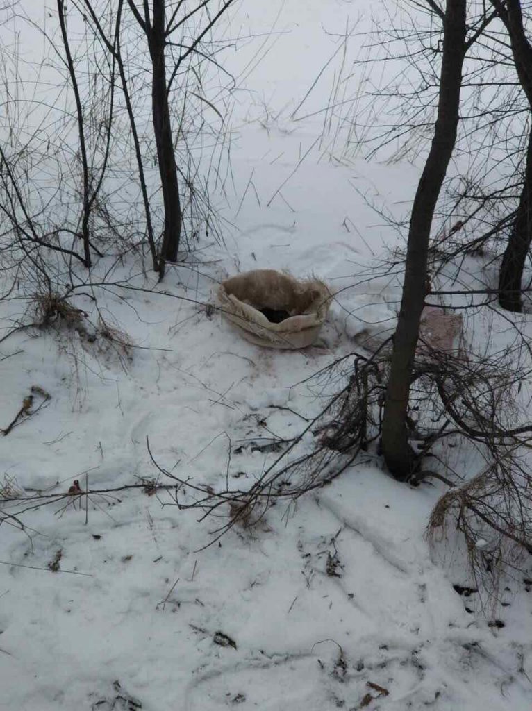 В лесополосе под Николаевом нашли мешок с гранатами 2