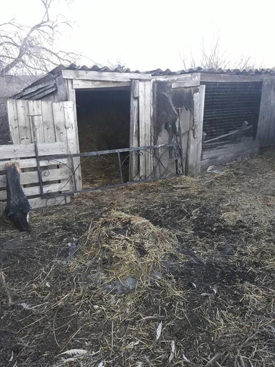 На Николаевщине поймали очередного кладбищенского вора, снявшего оградки с 20 могил, – он как раз под следствием по делу об угоне машины 8