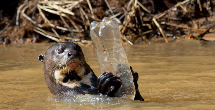Самая грязная и мертвая река. Была. Как чистят Темзу