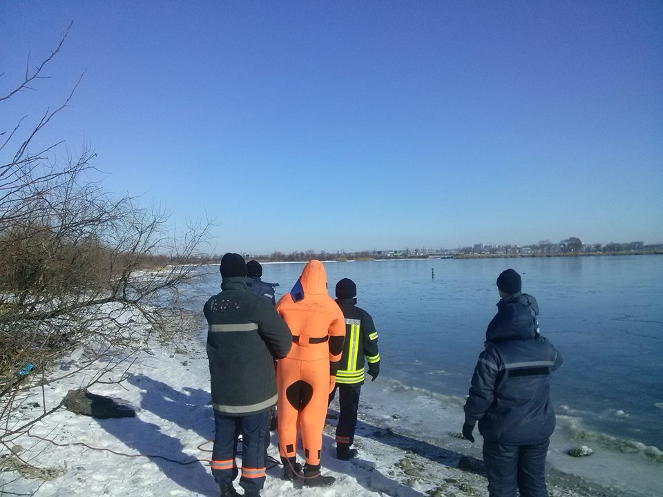 В Николаеве спасли лебедей, которые могли примерзнуть ко льду 3