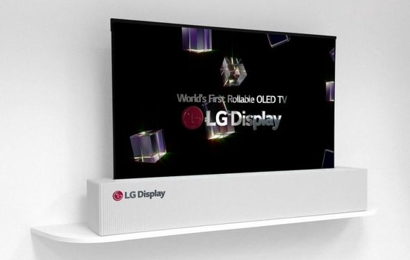 Скоро все будут такими? LG представила гибкий телевизор, который можно свернуть в рулон