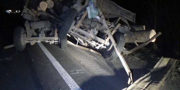 “Пункт назначения”: Автобус столкнулся с лесовозом в Житомирской области – бревна влетели в салон с пассажирами