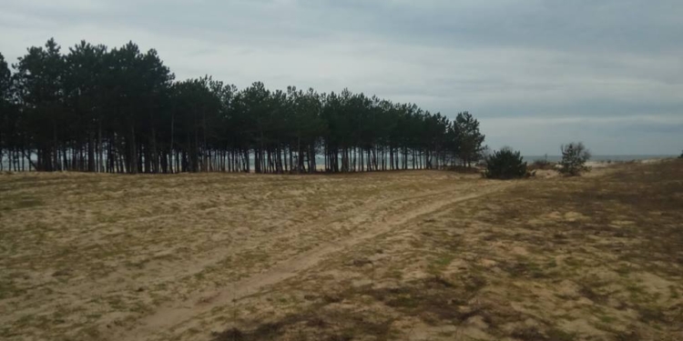 Администрацию НПП «Білобережжя Святослава» пытаются дискредитировать фейковыми сообщениями о мусоре на Кинбурне