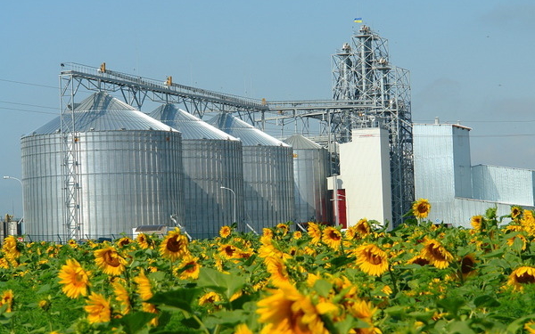 Правильной дорогой. В Донецкой области построят элеватор и маслоперерабатывающий завод
