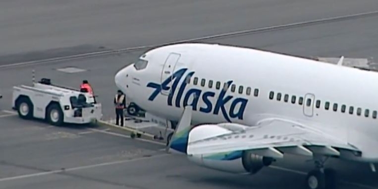 Взошла по трапу. В США отменили рейс из-за появившейся на борту крысы