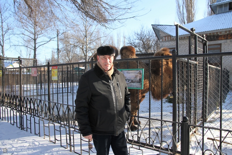 Лис, живущих в Николаевском зоопарке, ждет улучшение жилищных условий 11