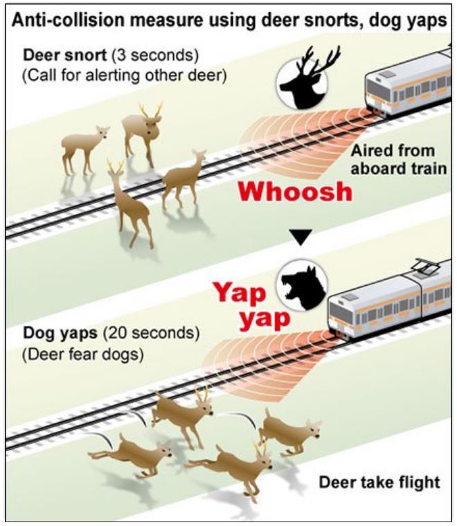 В Японии олени поездов не боятся, поэтому решили их отгонять звериными голосами 1
