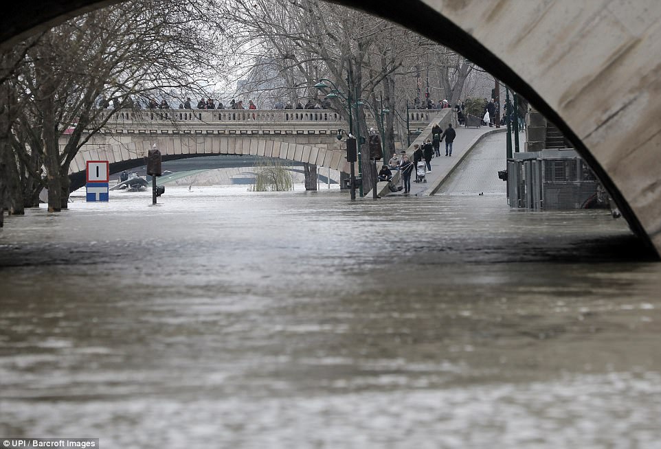 После сильных дождей во Франции разлилась Сена: пострадали уже 240 городов, а в Париже эвакуировали 1,5 тыс.человек и закрыли один этаж Лувра 19
