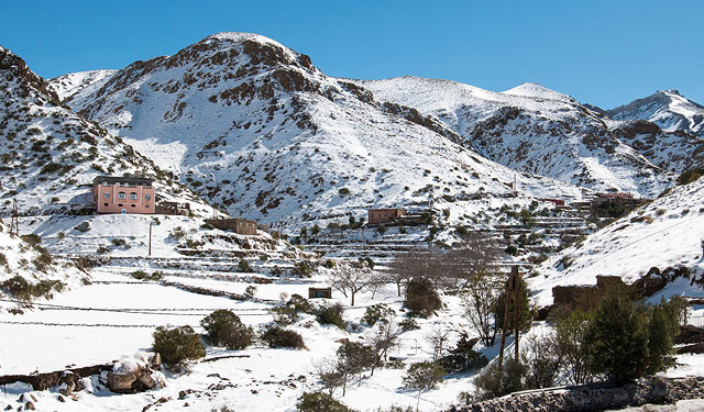 Здесь снега нет. А в Сахаре есть. Причем, по колено