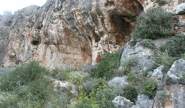 Мы старше. В Израиле нашли человеческую челюсть, которой почти 200 тыс. лет
