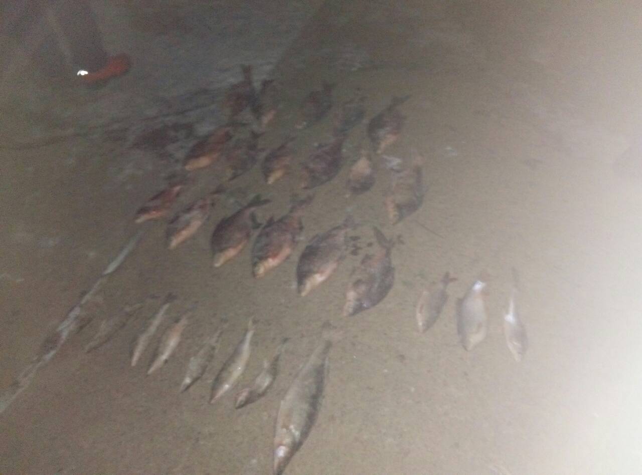 На Николавщине патруль рыбоохраны задержал очередных браконьеров