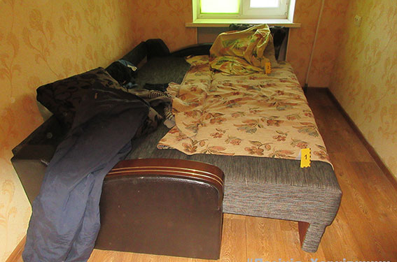 На Харьковщине педофил надругался над десятилетней девочкой, которая пришла щедровать