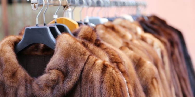 В Норвегии закроют все меховые фермы и фабрики – так решило правительство