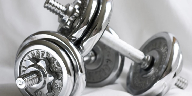 В Николаеве обокрали спортивную школу. Но вор с гантелями и дисками ушел недалеко