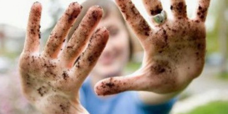 В Николаеве увеличилось количество заболевших желтухой. Причем все они живут в одном районе города