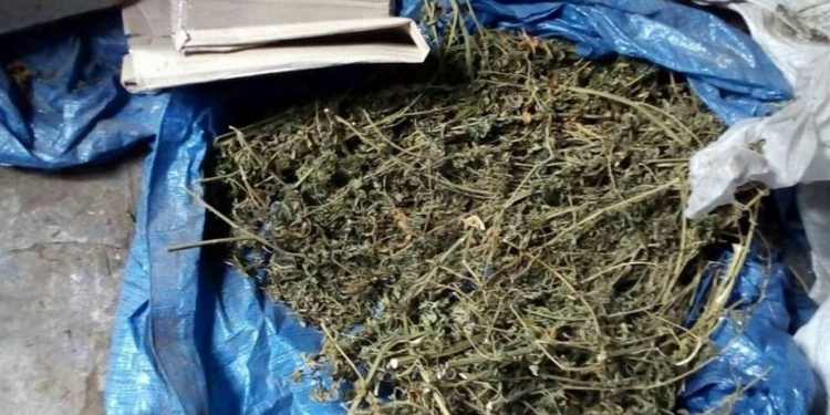 У жителя Баштанки изъяли два килограмма марихуаны. Говорит, собрал для себя