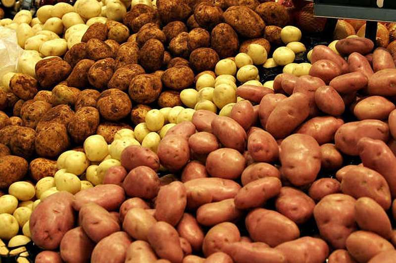 Украина в прошлом году увеличила экспорт картофеля в 3,5 раза 1