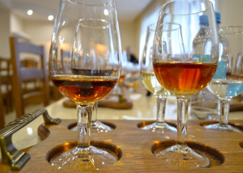 Готовятся. Украинские виноделы осваивают производство коньячных виноматериалов