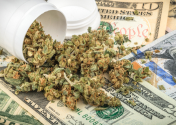 В Калифорнии рассчитывают заработать на легализации марихуаны $1 млрд.