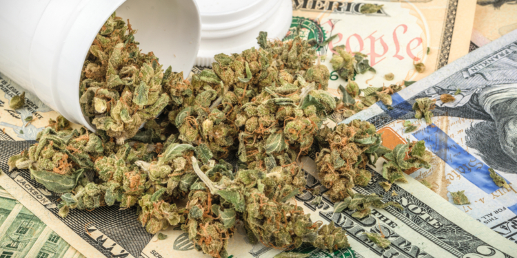 В Калифорнии рассчитывают заработать на легализации марихуаны $1 млрд.