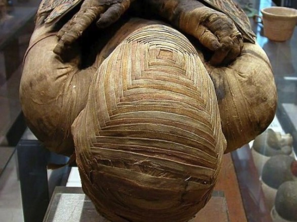 В Египте археологи нашли гробницу с мумиями кошек и жуков 1