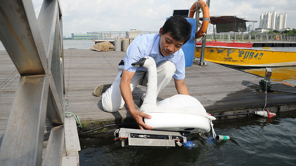 В Сингапуре будут использовать лебедей-роботов для контроля за чистотой воды 9