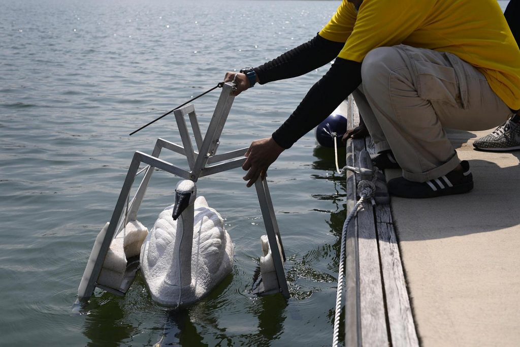 В Сингапуре будут использовать лебедей-роботов для контроля за чистотой воды 1