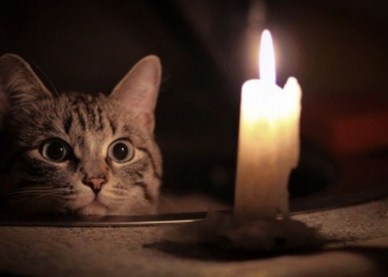 Первой жертвой непогоды в Николаеве стала Варваровка