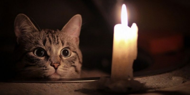 Первой жертвой непогоды в Николаеве стала Варваровка