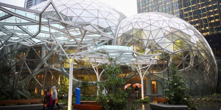 Amazon открыла джунгли-офис – там на каждого сотрудника по 40 растений