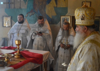 Рождественское послание митрополита Николаевского и Очаковского Питирима