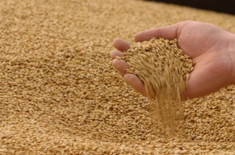 Украина намерена продать пшеницы на $6 млрд за год 1