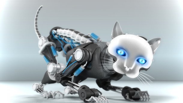 В Америке разработали кошку-робота, которая будет помогать пожилым людям 1