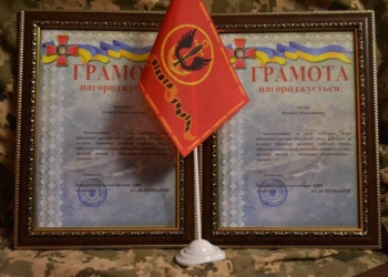 Титов и Пелипас теперь волонтеры – у них и грамота есть