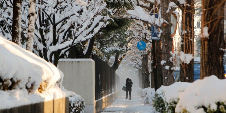 Японию завалило снегом – четыре человека погибли, 48 пострадали