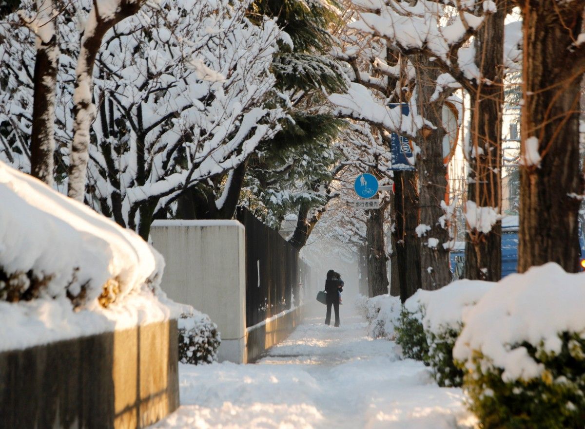 Японию завалило снегом – четыре человека погибли, 48 пострадали
