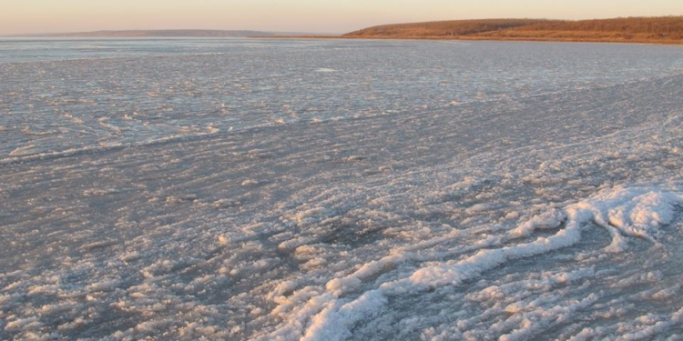 Соленость Тилигульского лимана несколько стабилизировалась