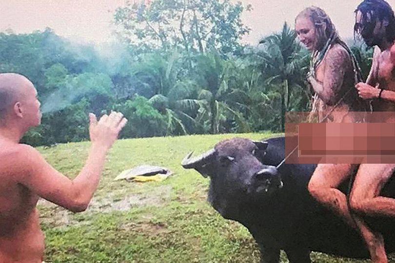 Скандал с туристами на Филиппинах: они катались голыми на священных буйволах, теперь полиция готова их арестовать 3