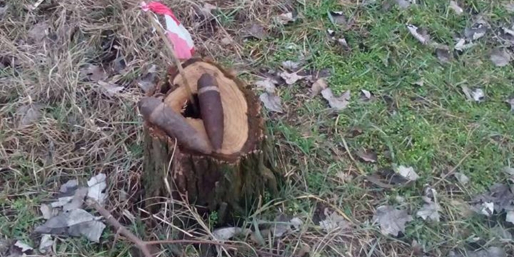 Найти и уничтожить: на ул.Проектной в Николаеве обнаружили два старых артснаряда