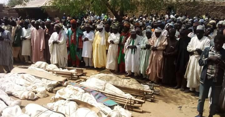 Из-за овец в Нигерии погибли сразу 36 мужчин – они перестреляли друг друга