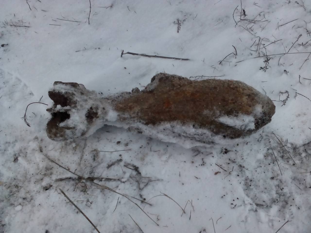 В Березанке мужчина искал металлолом, а нашел ржавую минометную мину