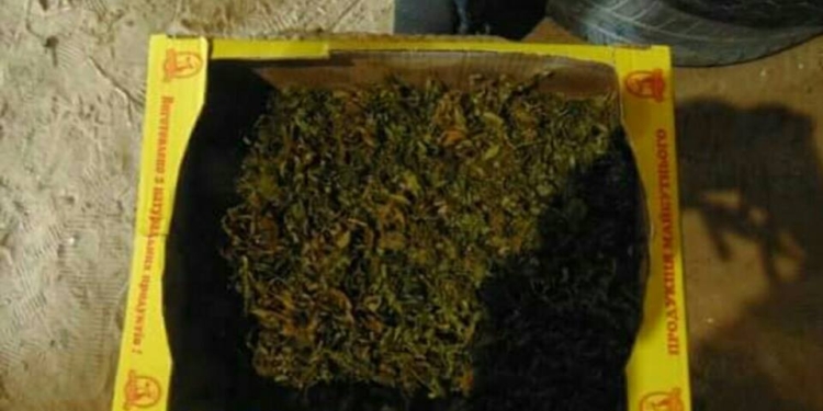 За хранение 6 кг конопли, 200 патронов, обреза и угрозы следователю жителю Вознесенска грозит до 12 лет лишения свободы