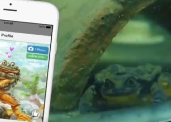 Будем надеяться, что к 14 февраля найдут: самцу очень редкой лягушки ищут пару на сайте знакомств