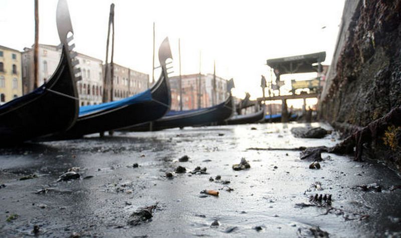 В Венеции пересохли маленькие каналы – гондолы не могут по ним плавать 3
