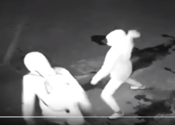 Каких грабителей готова поприветствовать любая полиция