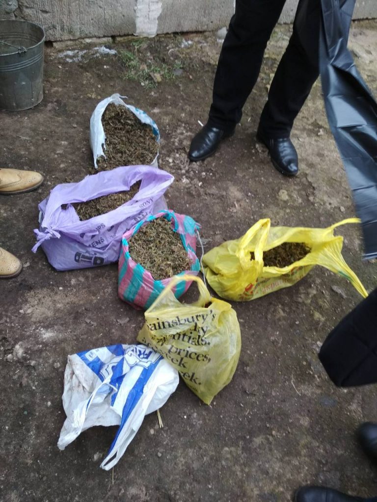 В Баштанке на Николаевщине обнаружили 25 кг конопли. А еще холодное и огнестрельное оружие и боеприпасы 3