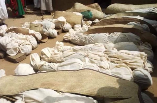 Из-за овец в Нигерии погибли сразу 36 мужчин – они перестреляли друг друга 1